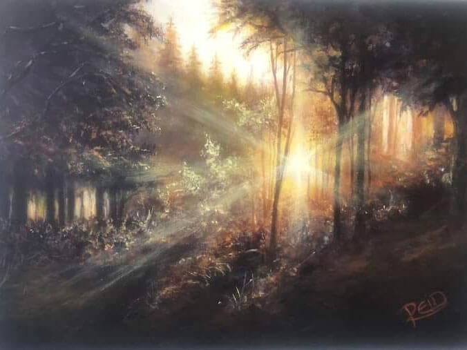 8d7edc57-625d-4bbb-8d93-5958e30bc33a